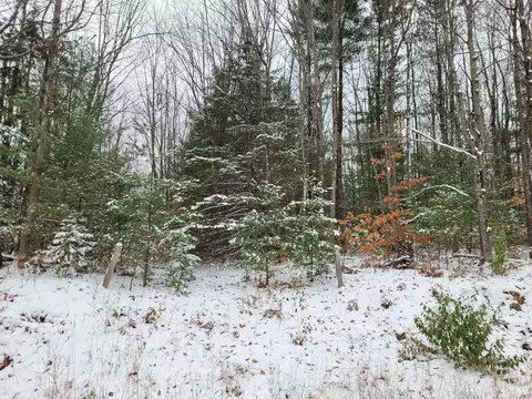 11771 W 16, Mesick, MI 49668 photo 4