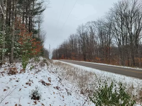 11771 W 16, Mesick, MI 49668 photo 9