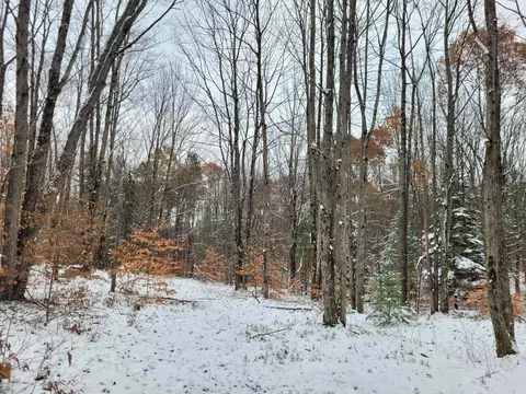 11771 W 16, Mesick, MI 49668 photo 8