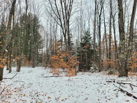 11771 W 16, Mesick, MI 49668 photo 7