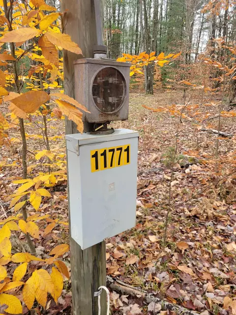 11771 W 16, Mesick, MI 49668 photo 2