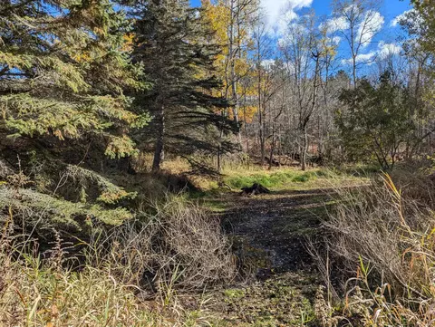 3920 E 14, Manton, MI 49663 photo 62
