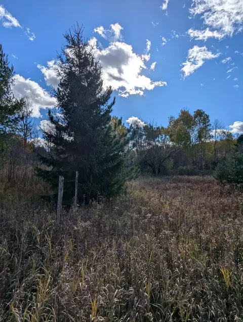 3920 E 14, Manton, MI 49663 photo 63