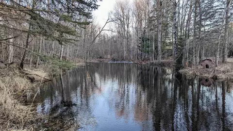 3920 E 14, Manton, MI 49663 photo 65