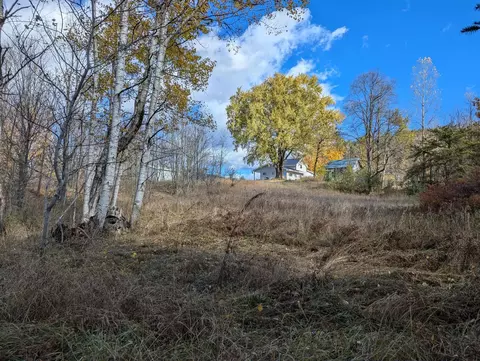 3920 E 14, Manton, MI 49663 photo 59