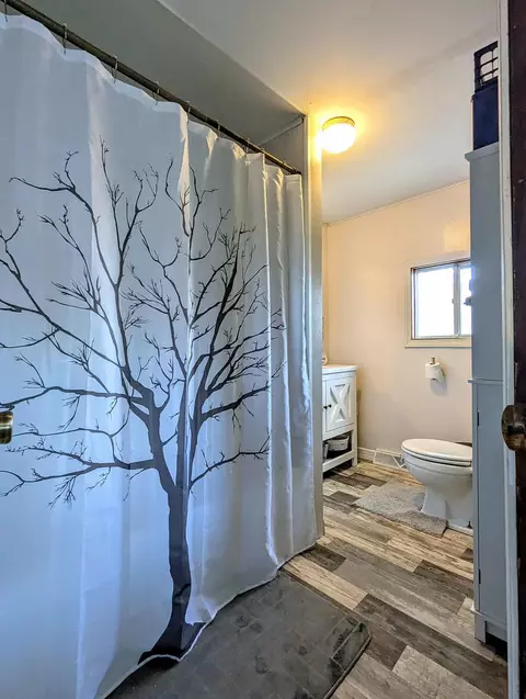 3920 E 14, Manton, MI 49663 photo 29