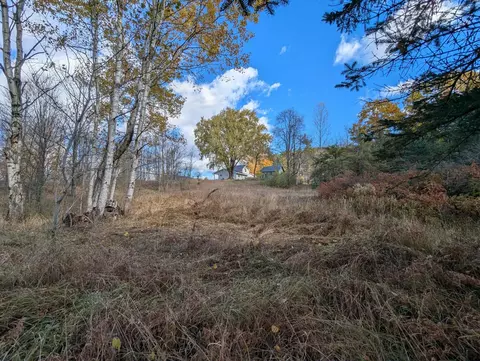 3920 E 14, Manton, MI 49663 photo 60