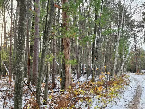lot18 Kingsley #LOT : 18, Grayling, MI 49738