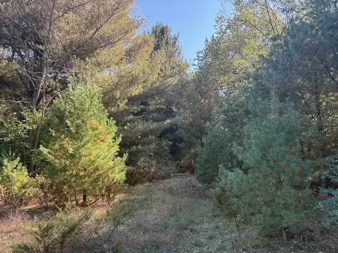 D S Glen Lake #: D, Glen Arbor, MI 49636