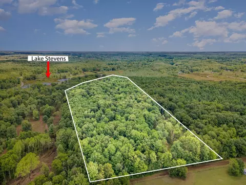 tbd E Klees, Crystal, MI 48818 photo 3