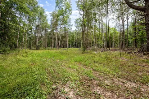 tbd E Klees, Crystal, MI 48818