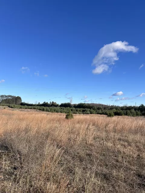 Vacant Land Johnson, Bellaire, MI 49615