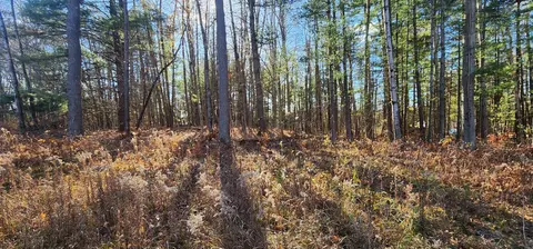 00 W Rainbow, Mcbain, MI 49657 photo 3