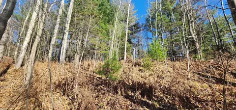 00 W Rainbow, Mcbain, MI 49657 photo 8