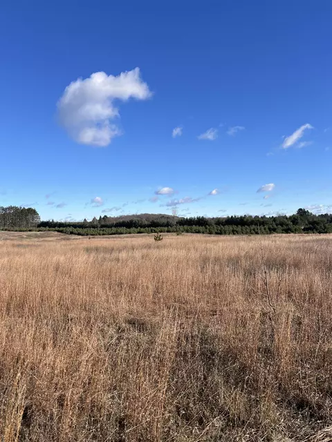 Vacant Land Johnson, Bellaire, MI 49615