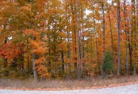 0 Aletha, Interlochen, MI 49643
