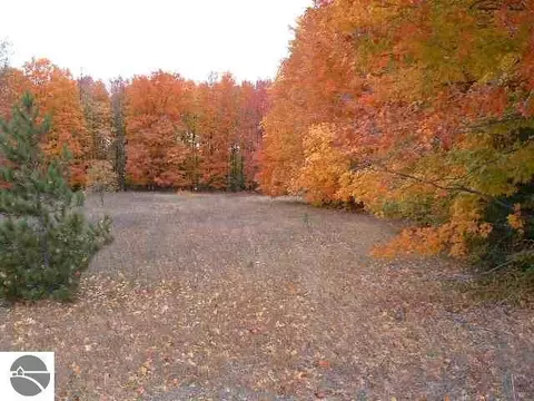 0 Aletha, Interlochen, MI 49643 photo 3