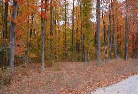 0 Aletha, Interlochen, MI 49643 photo 2