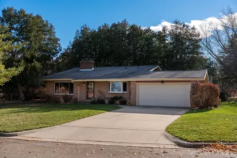 905 Hopkins, Mount Pleasant, MI 48858