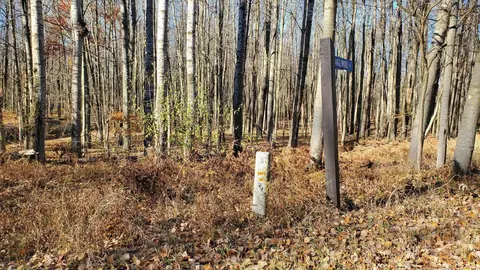 8122 Highland #LOT : 240, Stanwood, MI 49346