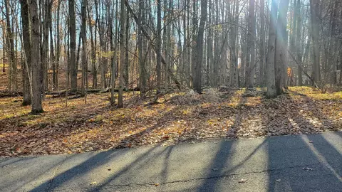 9815 Lost Cyn #LOT : 690, Stanwood, MI 49346