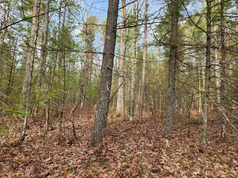 Vl Hall Creek, Interlochen, MI 49643