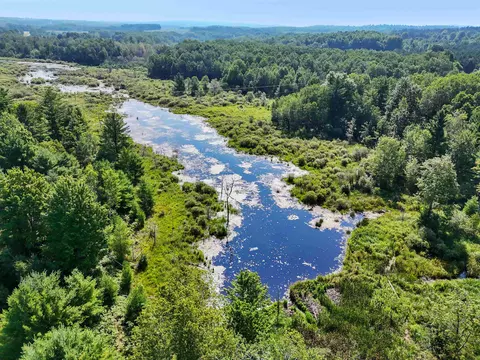 00 Arnold, Manton, MI 49663