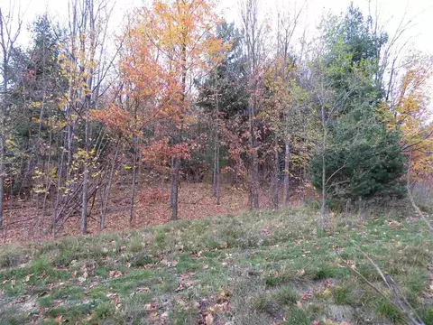 lot71 Rawlings #LOT : 71, Kingsley, MI 49649