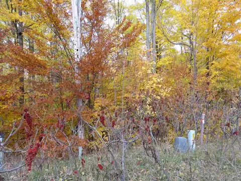 lot81 Eden #LOT : 81, Kingsley, MI 49649