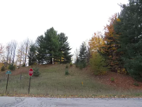 lot62 Eden #LOT : 62, Kingsley, MI 49649