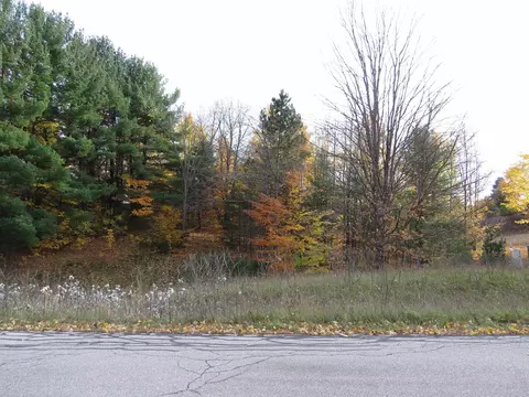 lot63 Eden, Kingsley, MI 49649