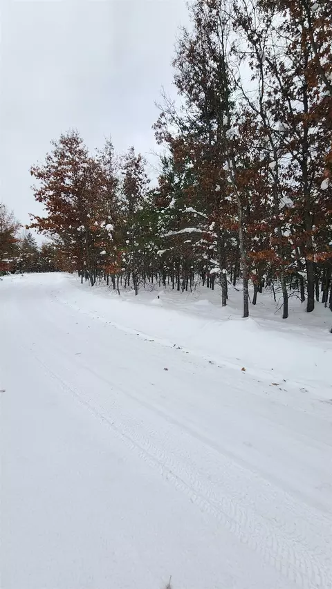 Fiddlewood, Grayling, MI 49738