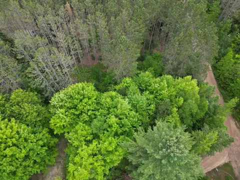 tbd Wintergreen UNIT 47, Farwell, MI 48622 photo 3