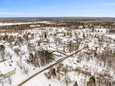 16863 3rd, Copemish, MI 49625 photo 31