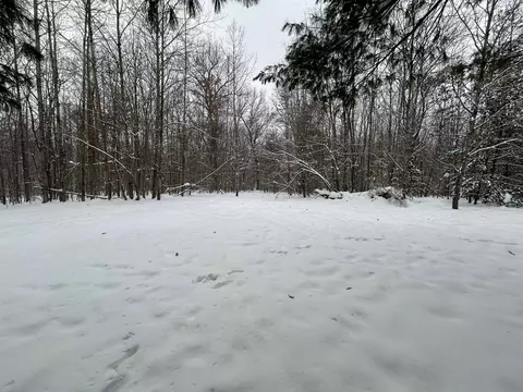 Exterior - 7467 E Higgins Lk, Roscommon, MI 48653 photo 8 of 8