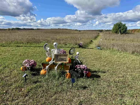 8320 Ole White, Lake Ann, MI 49650