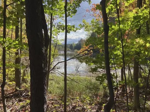 20047 Davis Lk, Traverse City, MI 49684