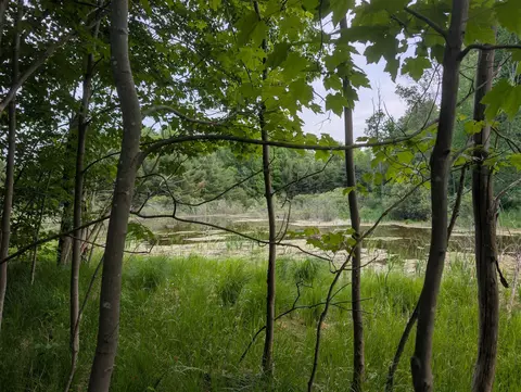 20047 Davis Lk, Traverse City, MI 49684