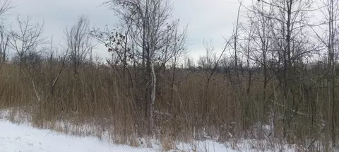 Na E Huron, Au Gres, MI 48703 photo 3