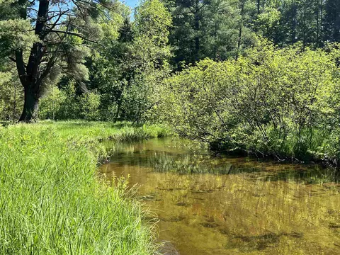 9769 Parrot, Fife Lake, MI 49633