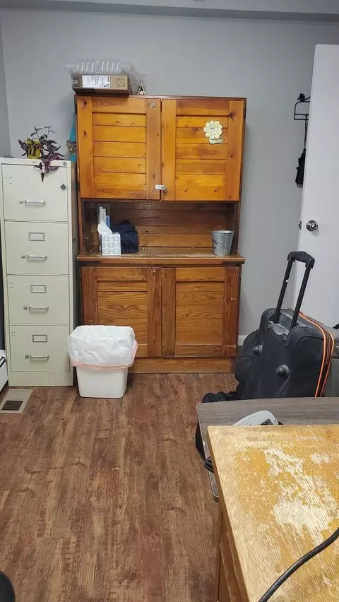 340 N Second, Stanton, MI 48888 photo 22
