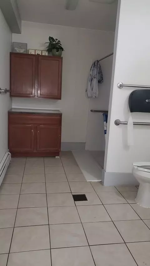 340 N Second, Stanton, MI 48888 photo 25