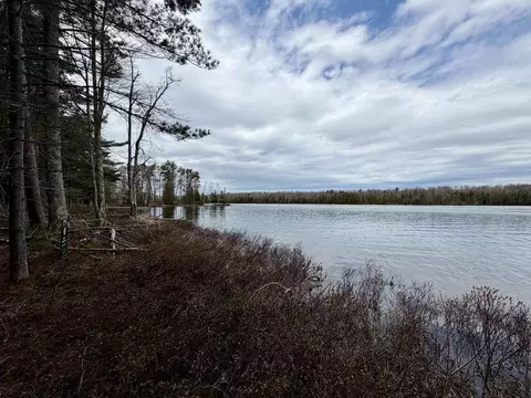 tbd Whitetail Lots 13 14 15 #LOT S 13, 14, & 15, Beaver Island, MI 49782