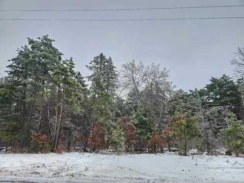 00 Dickerson, Lake City, MI 49651
