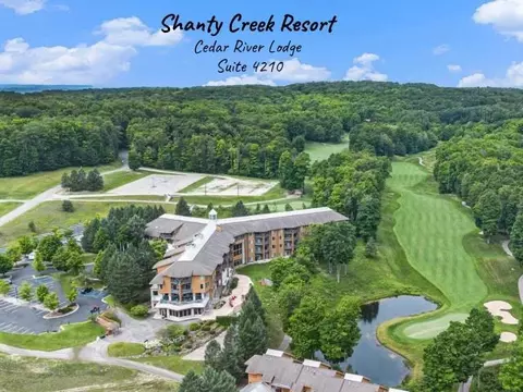 2400 Troon S #4210, Bellaire, MI 49615