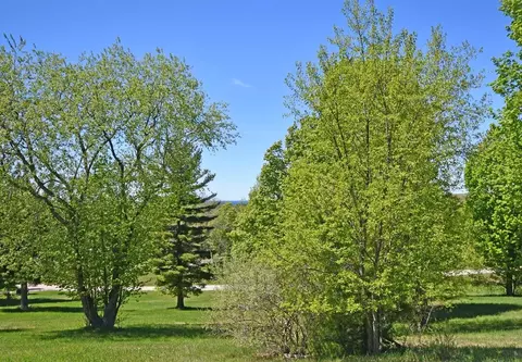 00 W Sleepy Vly #LOT 25, Empire, MI 49630