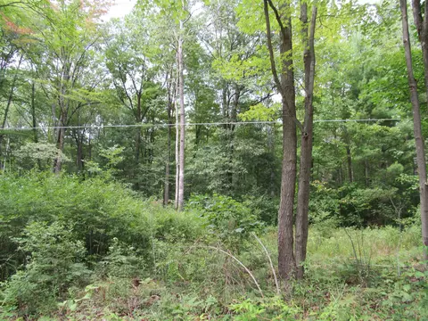 00 Duby #PARCEL C-5, Tawas City, MI 48763