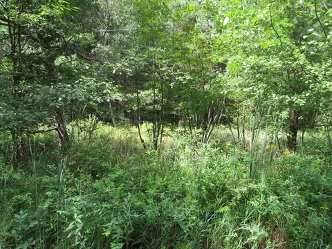00 Duby #PARCEL C-2, Tawas City, MI 48763