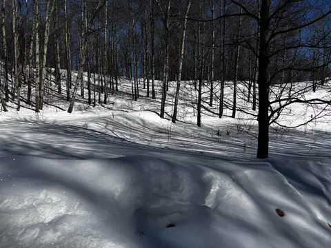 Unit 34 E Anchor, Suttons Bay, MI 49682 photo 15