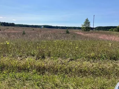 G Walton, Kingsley, MI 49649